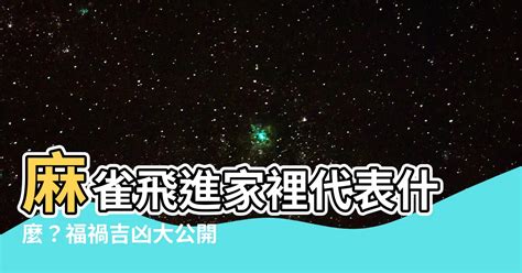 麻雀飛進家裡代表什麼|【家裡飛進麻雀】家裡飛進麻雀！風水大解析，暗示了什麼美好的。